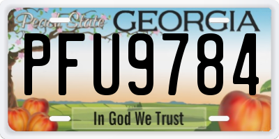GA license plate PFU9784