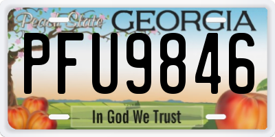 GA license plate PFU9846