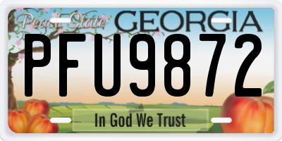 GA license plate PFU9872