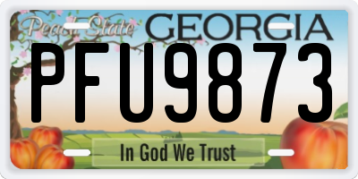 GA license plate PFU9873