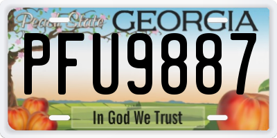 GA license plate PFU9887