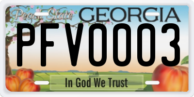 GA license plate PFV0003