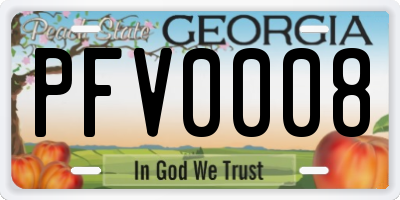 GA license plate PFV0008