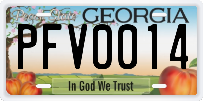 GA license plate PFV0014