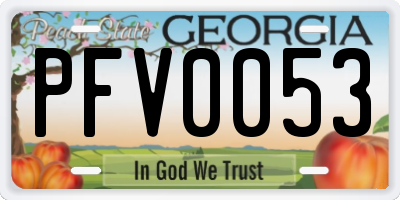 GA license plate PFV0053