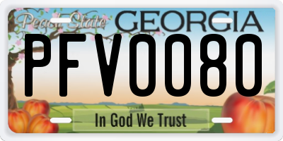 GA license plate PFV0080
