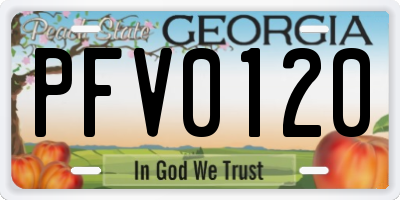 GA license plate PFV0120