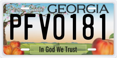GA license plate PFV0181