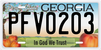 GA license plate PFV0203