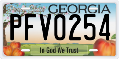 GA license plate PFV0254