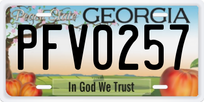 GA license plate PFV0257