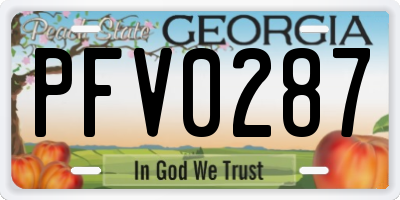 GA license plate PFV0287