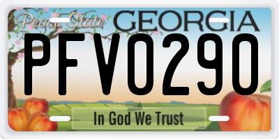 GA license plate PFV0290