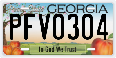GA license plate PFV0304