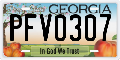 GA license plate PFV0307