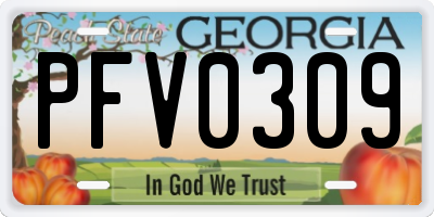 GA license plate PFV0309
