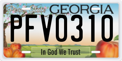 GA license plate PFV0310