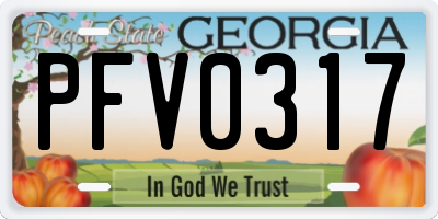 GA license plate PFV0317