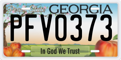 GA license plate PFV0373