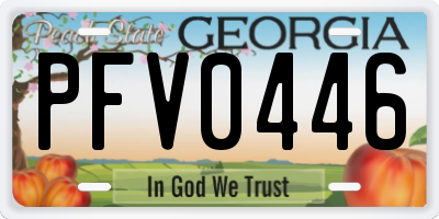 GA license plate PFV0446
