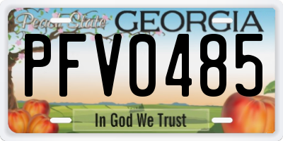 GA license plate PFV0485
