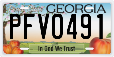 GA license plate PFV0491