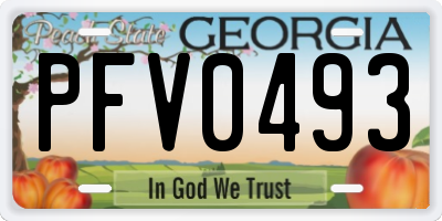 GA license plate PFV0493