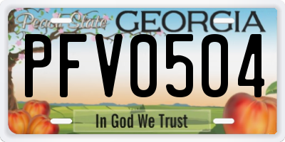 GA license plate PFV0504