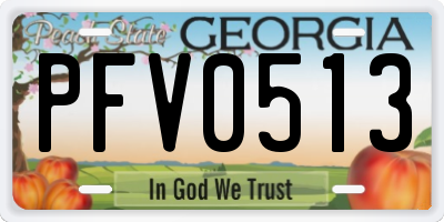GA license plate PFV0513