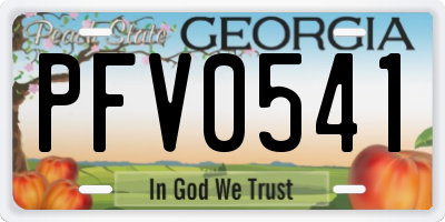 GA license plate PFV0541