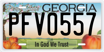 GA license plate PFV0557