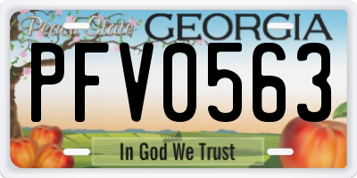 GA license plate PFV0563