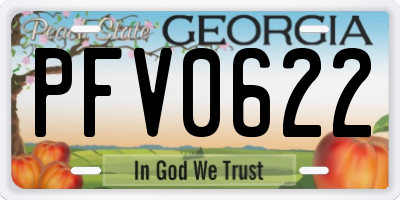 GA license plate PFV0622