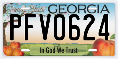 GA license plate PFV0624