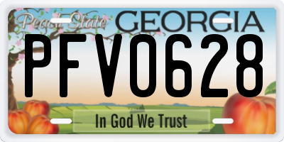 GA license plate PFV0628