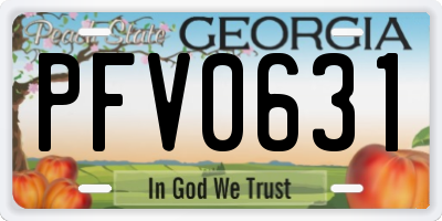 GA license plate PFV0631