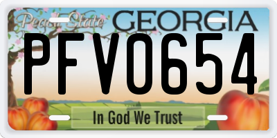 GA license plate PFV0654