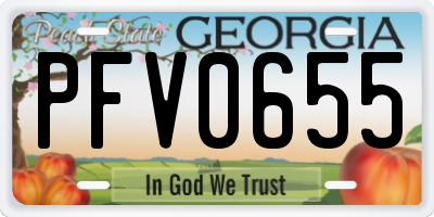 GA license plate PFV0655