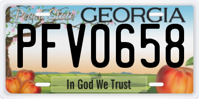 GA license plate PFV0658