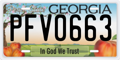 GA license plate PFV0663