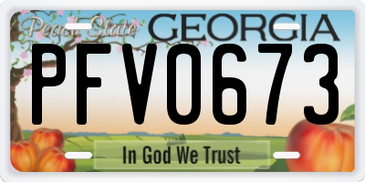 GA license plate PFV0673