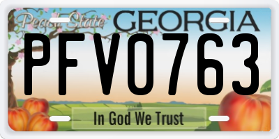 GA license plate PFV0763
