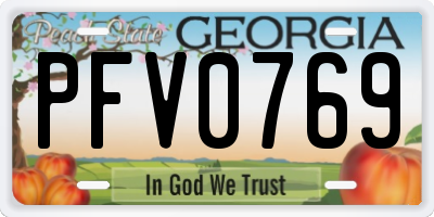 GA license plate PFV0769