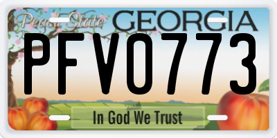 GA license plate PFV0773