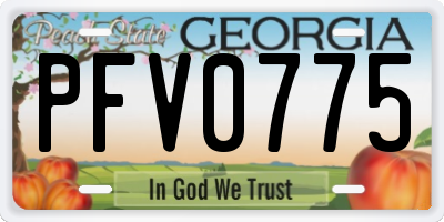 GA license plate PFV0775