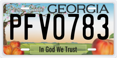 GA license plate PFV0783
