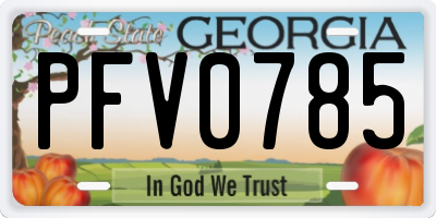 GA license plate PFV0785