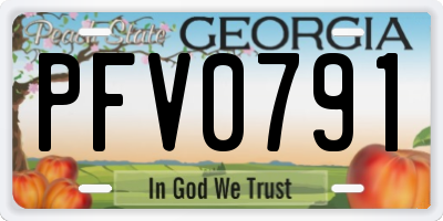 GA license plate PFV0791