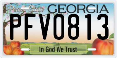 GA license plate PFV0813