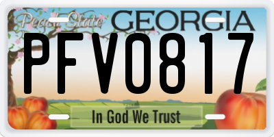 GA license plate PFV0817